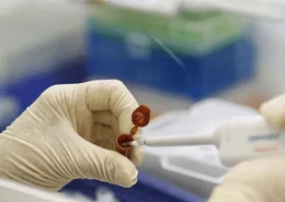 Domuz Gribi Teşhisi Nasıl Konulur?