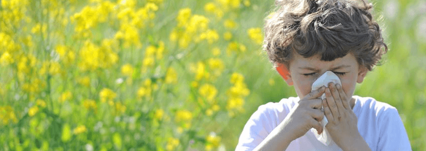 Polen Alerjisi Belirtileri Bu Yıl Erken Başlayabilir