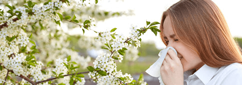 Polen Alerjisine Karşı Rahat Etmek İçin Alınabilecek Önlemler