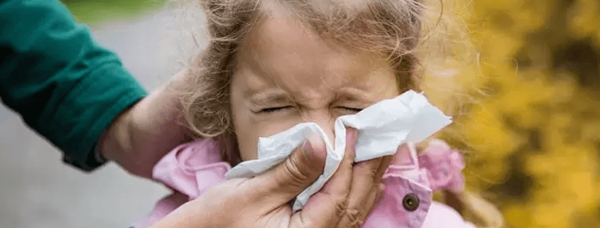 Sonbaharda alerji belirtileri neden artar