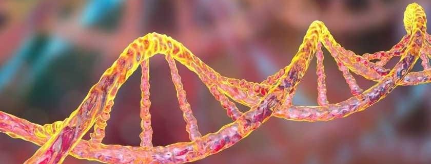 Alerji ve Astımda Genetik Etkenler